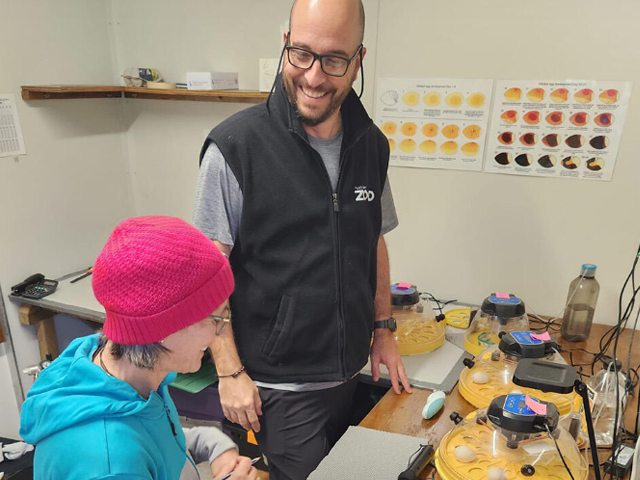 Brinsea Incubators Helping Save the Endangered Kākāpō in New Zealand