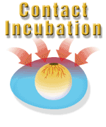 contact incubation