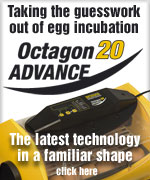 OCTAGON 20 ADVANCE - CLICK HERE FOR MORE DETAILS
