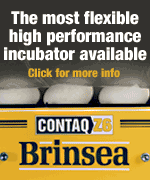 Z6 INCUBATOR - CLICK HERE FOR MORE DETAILS