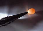 cool lume egg candler