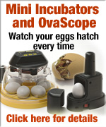Brinsea Mini Advance egg incubator and OvaScope egg scope