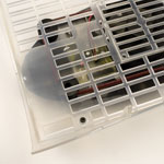 egg incubation humidity and ventilation
