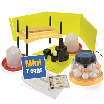Mini II Classroom incubator and brooder pack