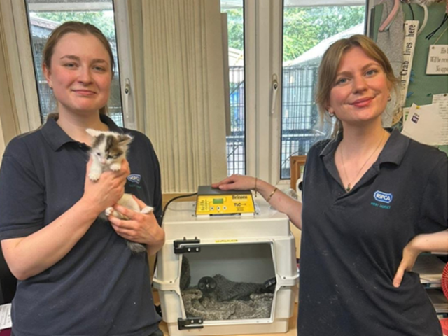 Saving Tiny Lives with the Brinsea TLC-40 Eco