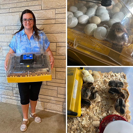Tonya Olsen and her Brinsea Ovation 56 EX Connect Incubator