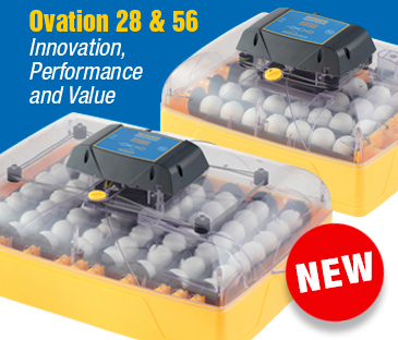 New Brinsea Ovation egg incubators