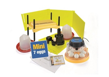 Mini Advance Classroom Pack