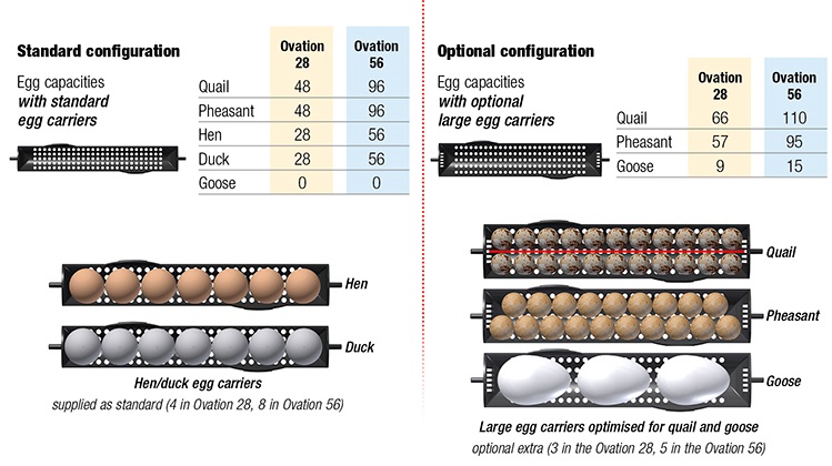 Goose Egg Incubation Chart