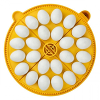 Maxi incubator medium egg quadrants for 24 medium eggs