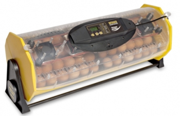 Octagon 40 incubator
