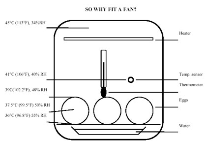 Egg Hatching Temperature Chart