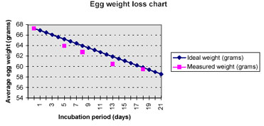 Incubator Temperature Chart