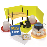 Mini Classroom incubator and brooder pack