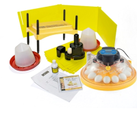 Maxi Classroom incubator and brooder pack