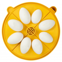 Maxi incubator extra large egg quadrants for 8 jumbo eggs