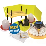 Maxi Classroom incubator and brooder pack