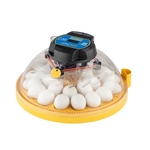 Maxi 24 Zoologica exotic egg incubator