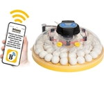 Maxi 48 EX Connect fully automatic digital egg incubator with app