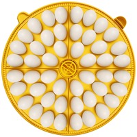 Maxi 48 incubator large egg quadrants for 24 large eggs