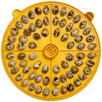 Maxi 48 incubator small egg quadrants for 68 small eggs