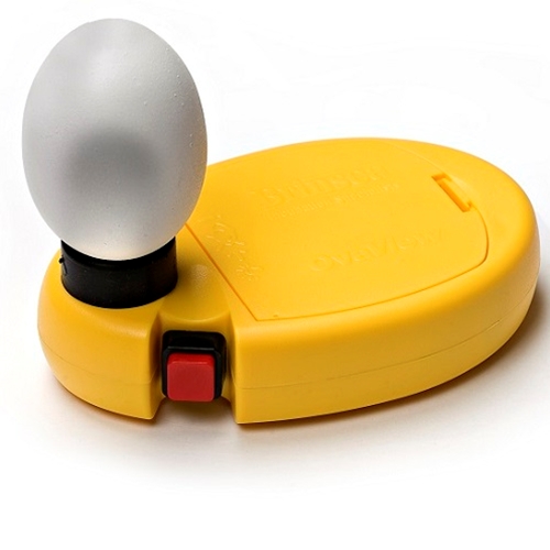 Buy Wholesale China Mini Household Egg Incubator Candler Bright Lighter To  Check The Egg Status With Battery Inside & Egg Candler at USD 6