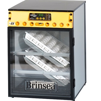 Scratch & Dent Ova Easy 100 Advance II Incubator