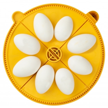Maxi incubator extra large egg quadrants for 8 jumbo eggs