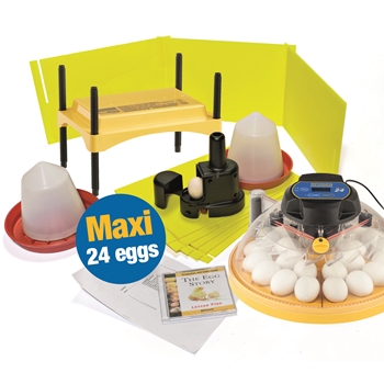 Maxi 24 Classroom incubator and brooder pack 