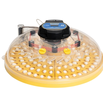 Maxi 48 Zoologica exotic egg incubator