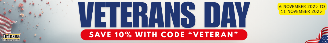 veterans day 10% off