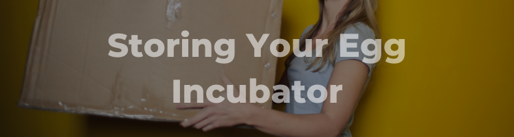 storing your incubator