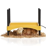 EcoGlow Safety 600 Chick Brooder
