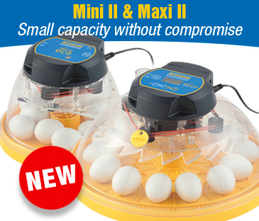 Image result for Brinsea Mini II Advance Hatching Egg Incubator